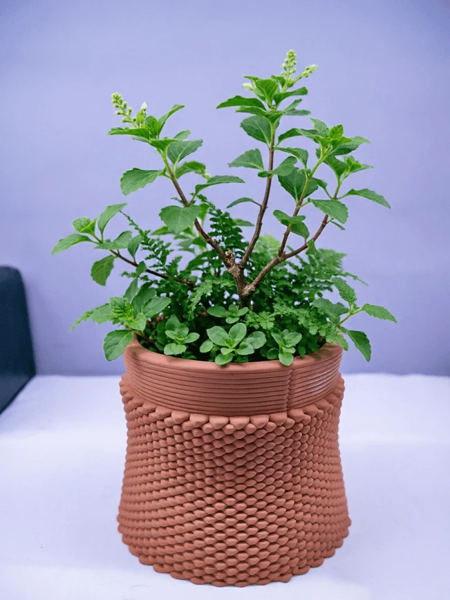 Homebase Indoor Plant Pots best